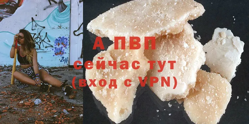 A PVP СК КРИС  Бежецк 